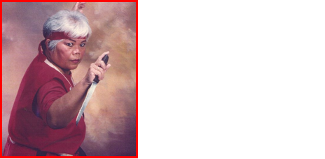 DIRECTOR: Tuhon/Dr. Gaudiosa Ruby PhD-MA Grandmaster/Founder Comjuka-Kali Systems